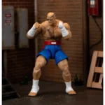 Ultra Street Fighter II Sagat Figure