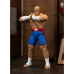 Ultra Street Fighter II Sagat Figure